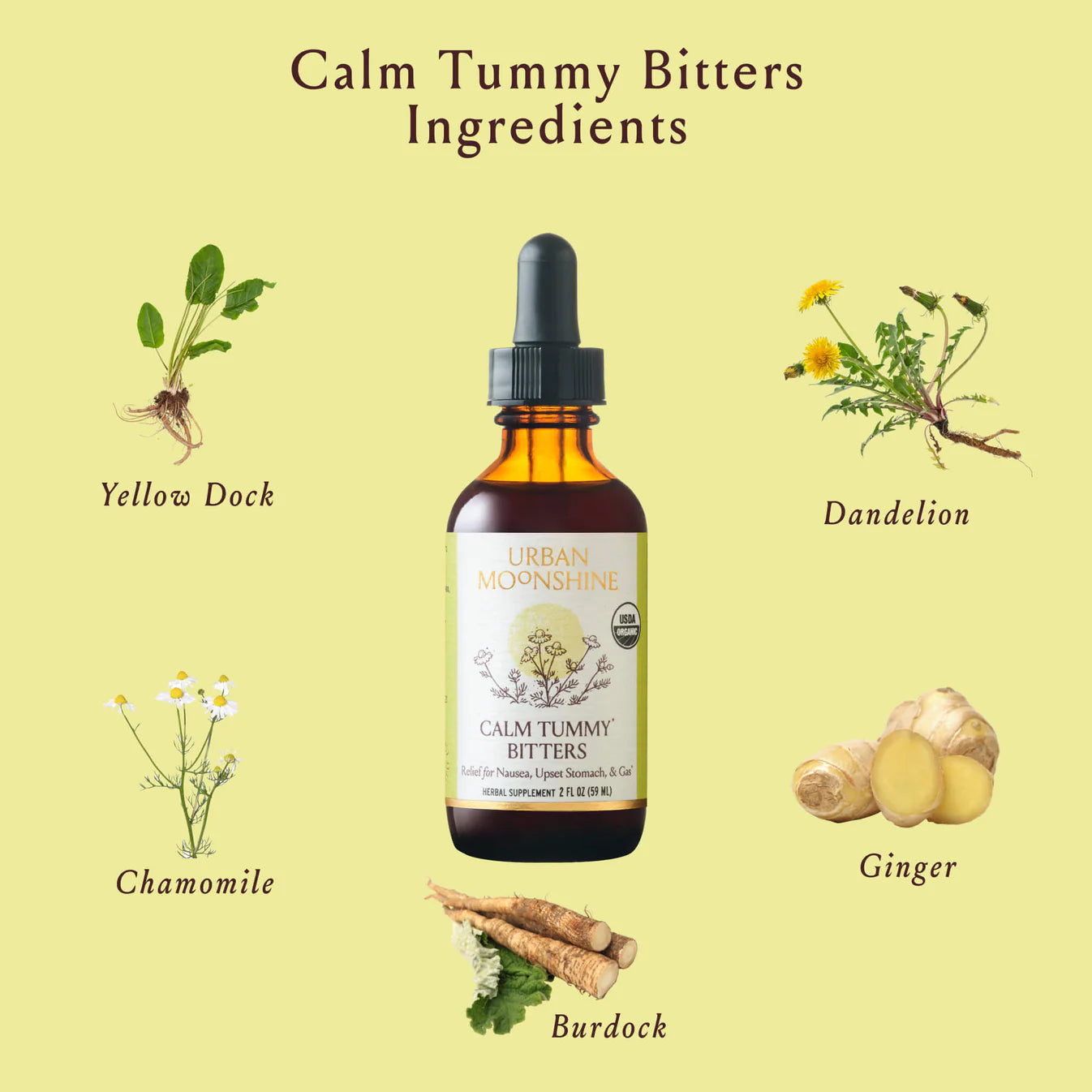 Calm Tummy Bitters (2 Fl oz) image 1