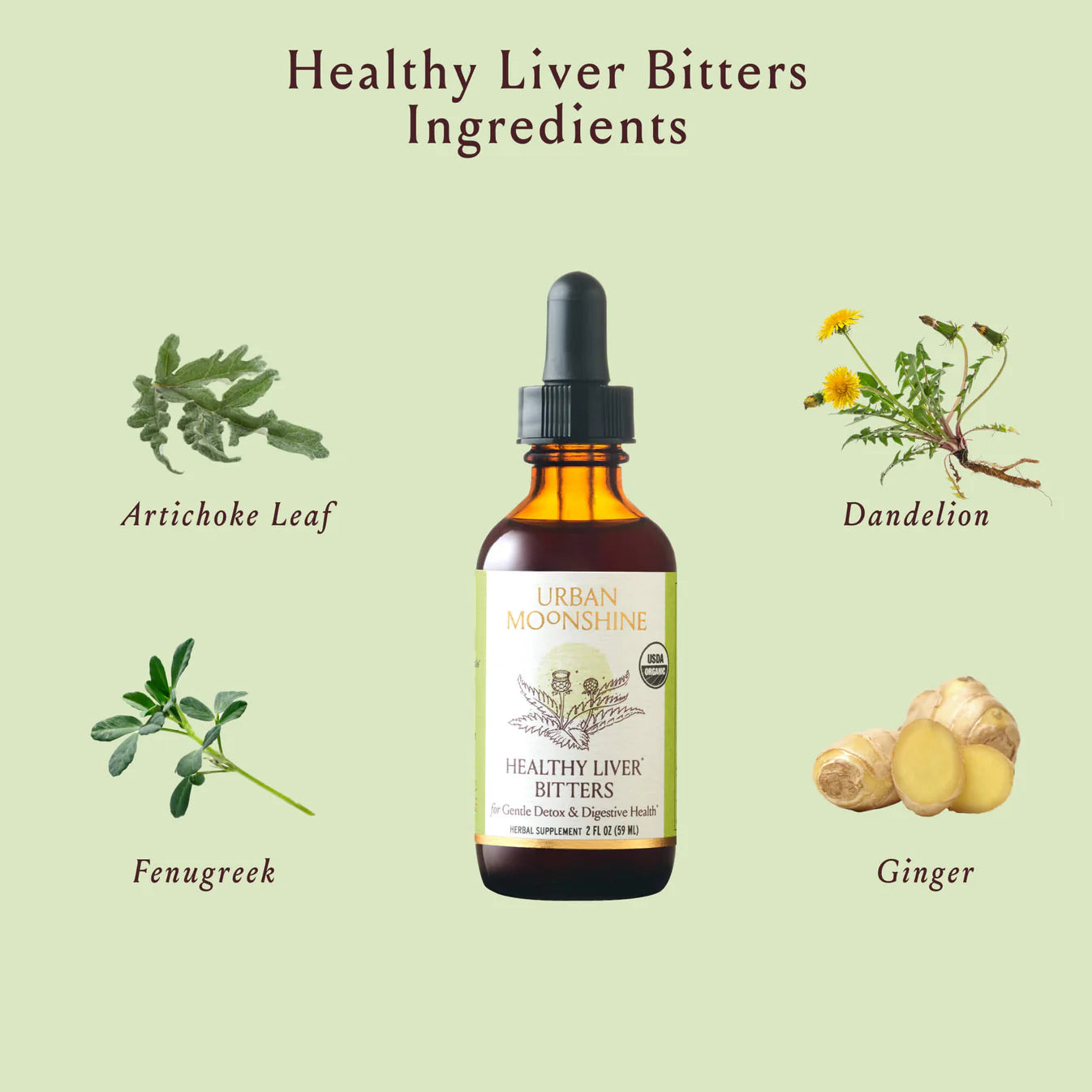 Healthy Liver Bitters (2 Fl oz) image 1