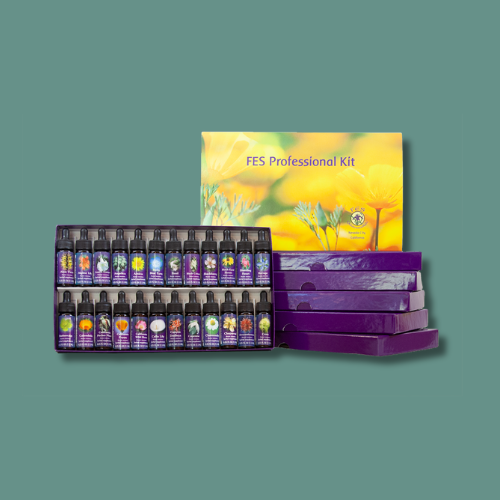 *Preorder* FES Professional Kit