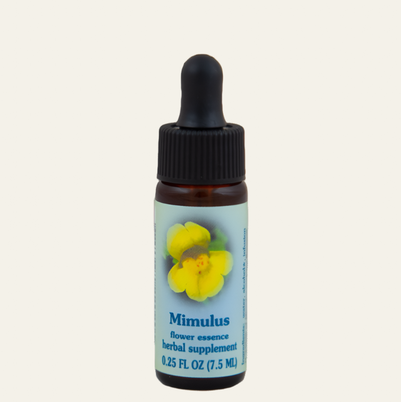 Mimulus