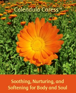 Calendula Caress 2 fl. oz.