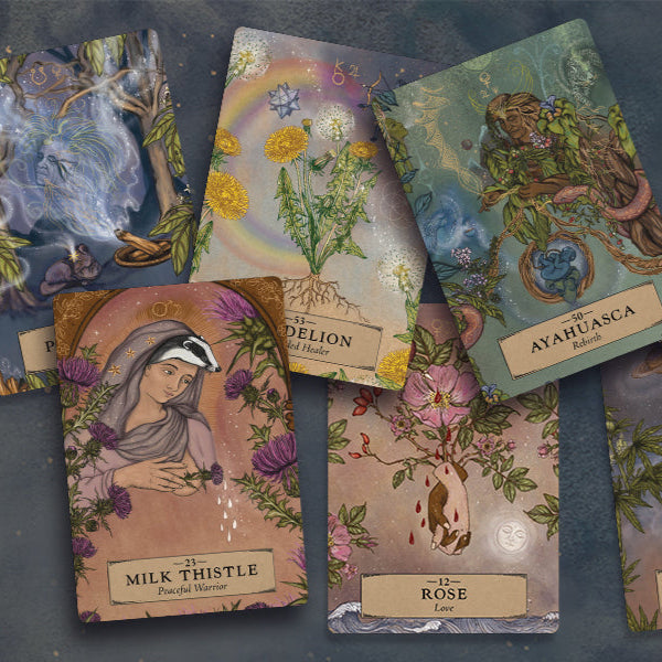 The Herbal Astrology Oracle A 55-Card Deck and Guidebook image 1