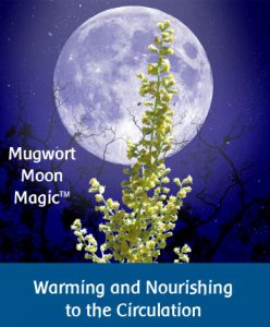 Mugwort Moon Magic 2 fl. oz.