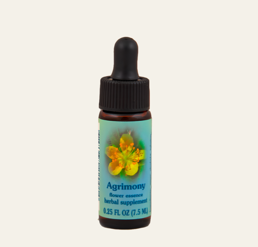 Agrimony