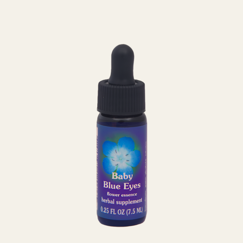 Baby Blue Eyes Flower Essence