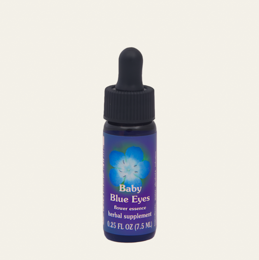 Baby Blue Eyes Flower Essence