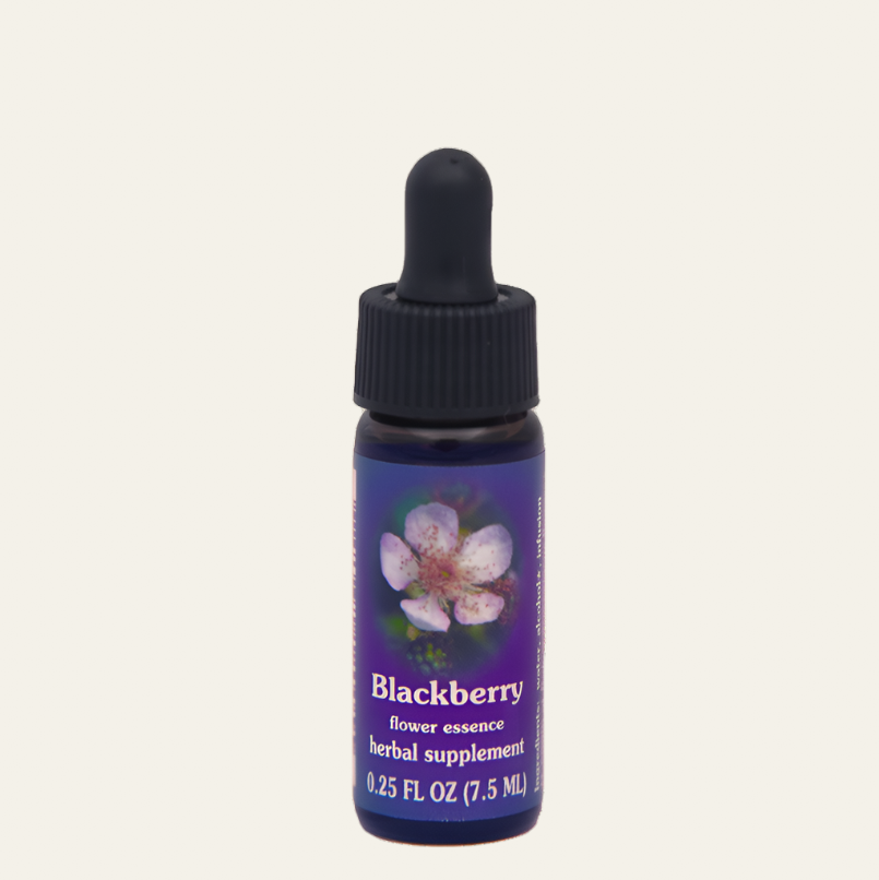 Blackberry Flower Essence