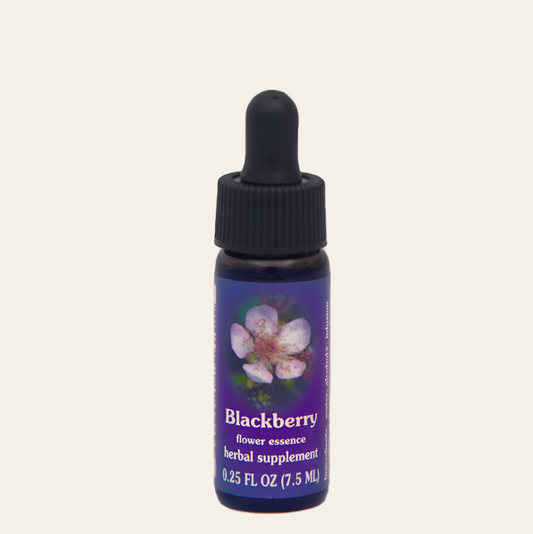 Blackberry Flower Essence