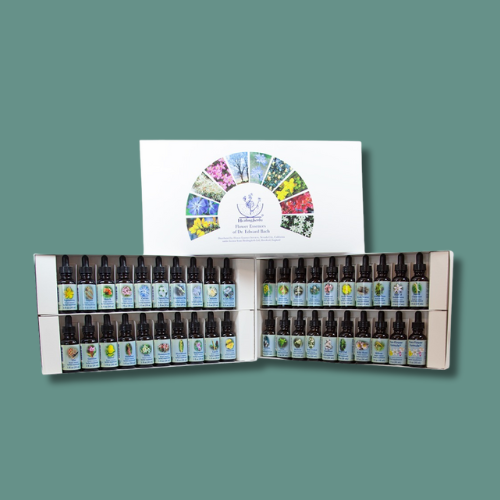 *Preorder* Healing Herbs Kit