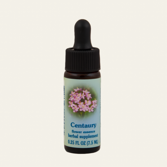 Centaury