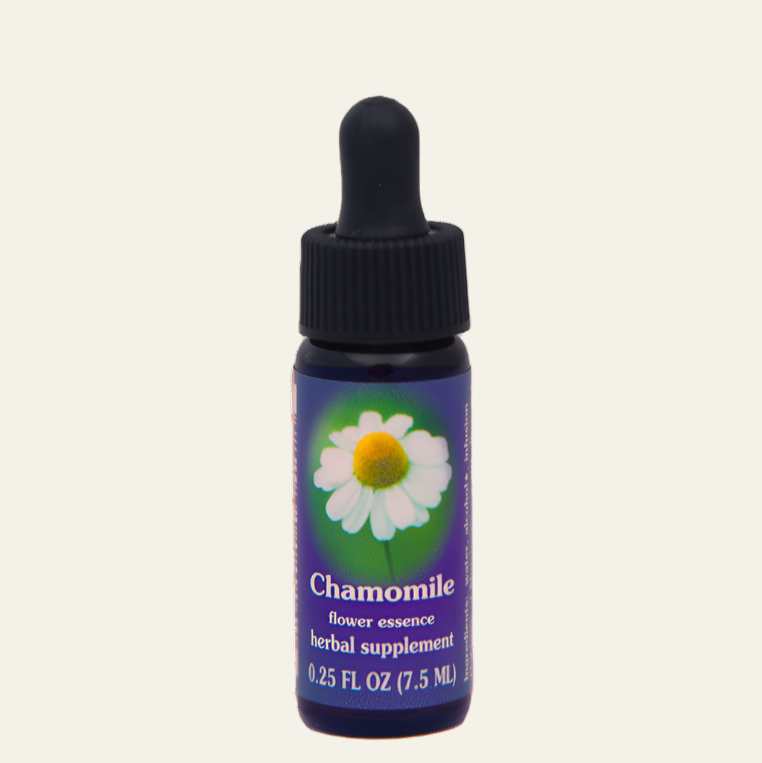 Chamomile Flower Essence