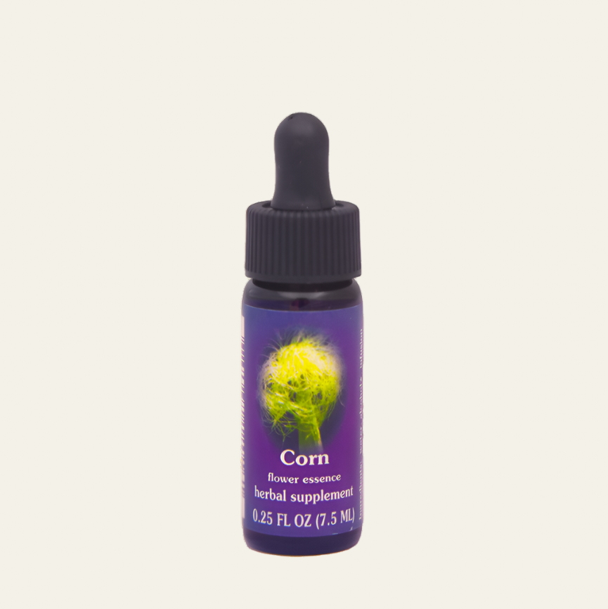 Corn Flower Essence