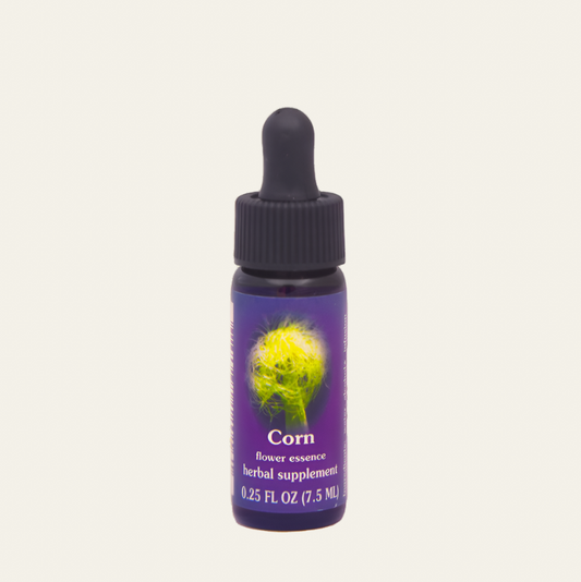 Corn Flower Essence