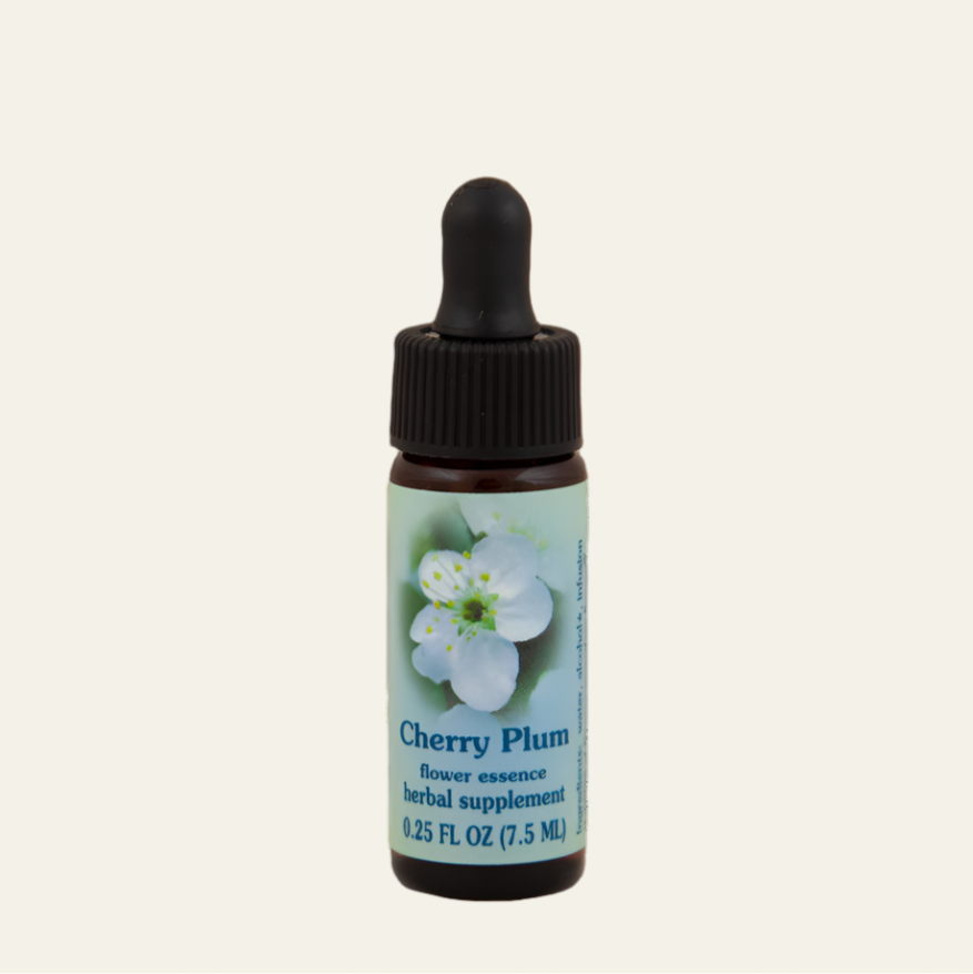 Cherry Plum