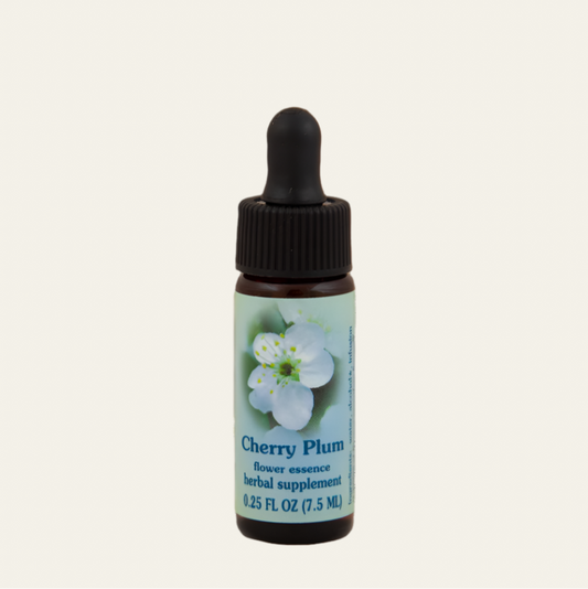Cherry Plum