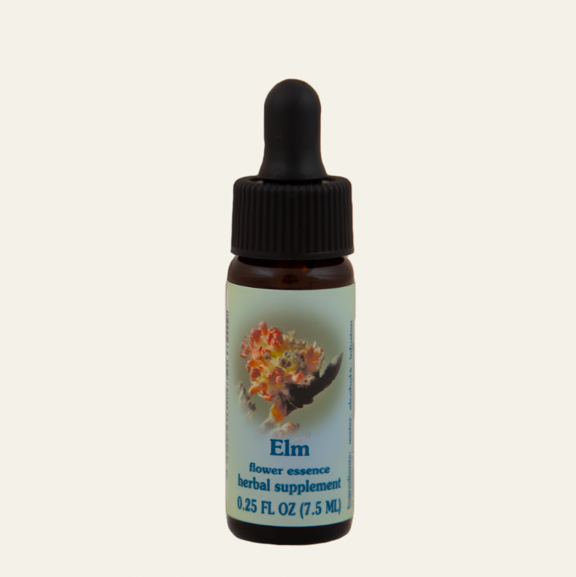 Elm