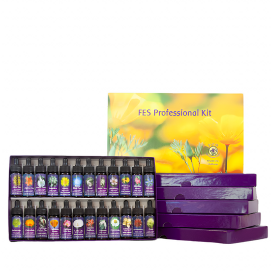 *Preorder* FES Professional Kit