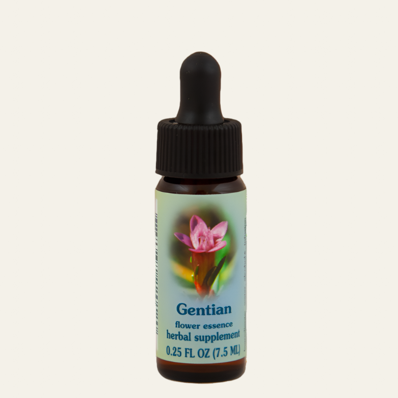 Gentian