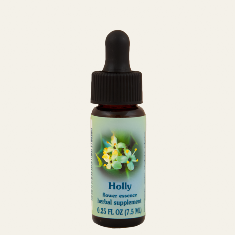 Holly