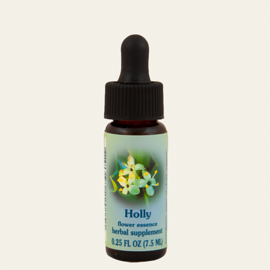 Holly