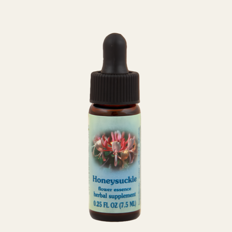 Honeysuckle