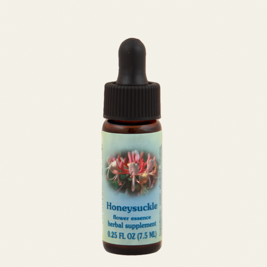 Honeysuckle