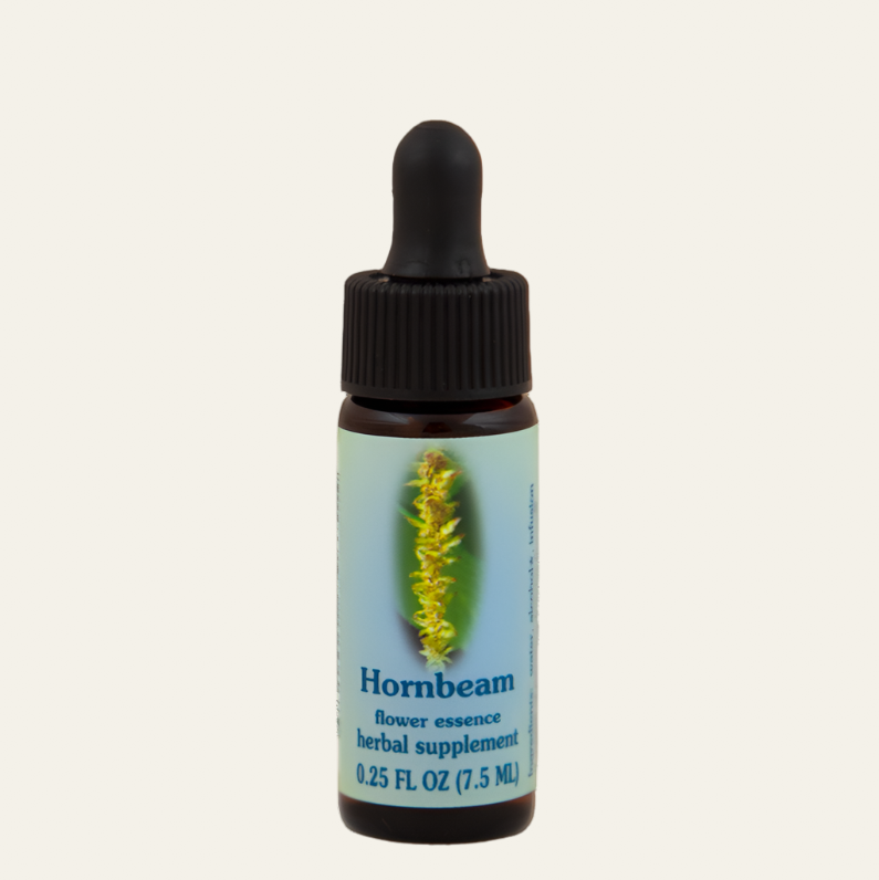 Hornbeam