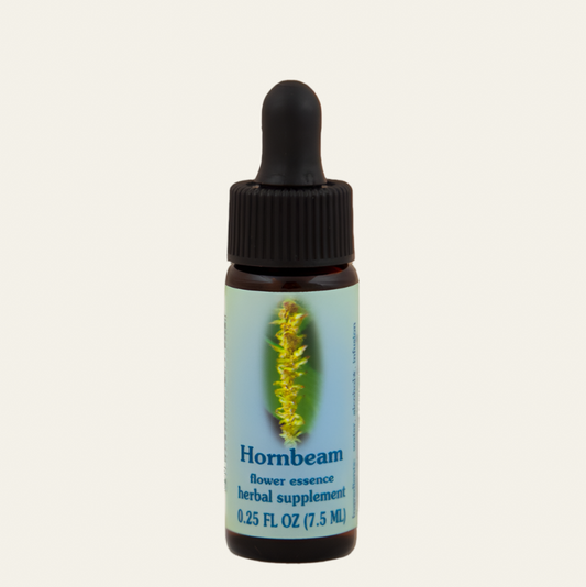 Hornbeam
