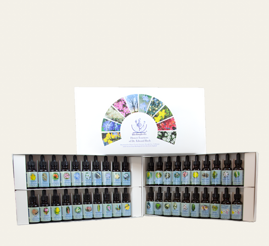 *Preorder* Healing Herbs Kit