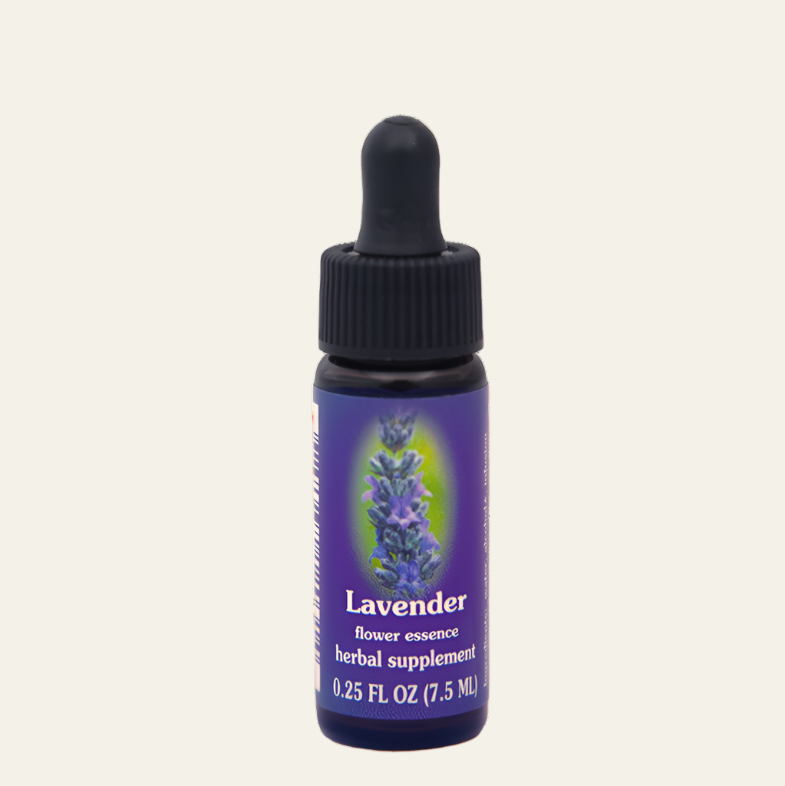 Lavender Flower Essence