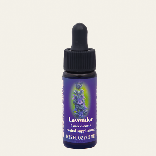 Lavender Flower Essence