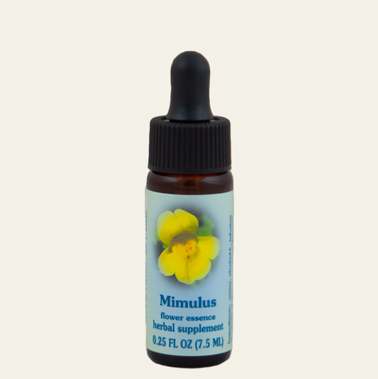 Mimulus