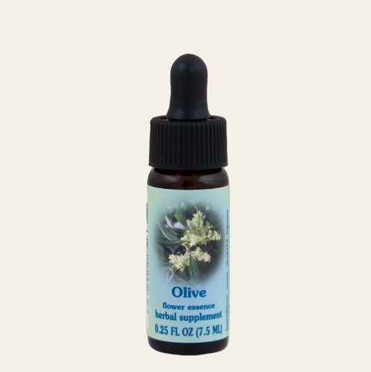 Olive