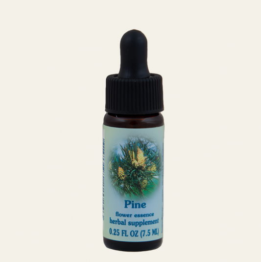 Pine
