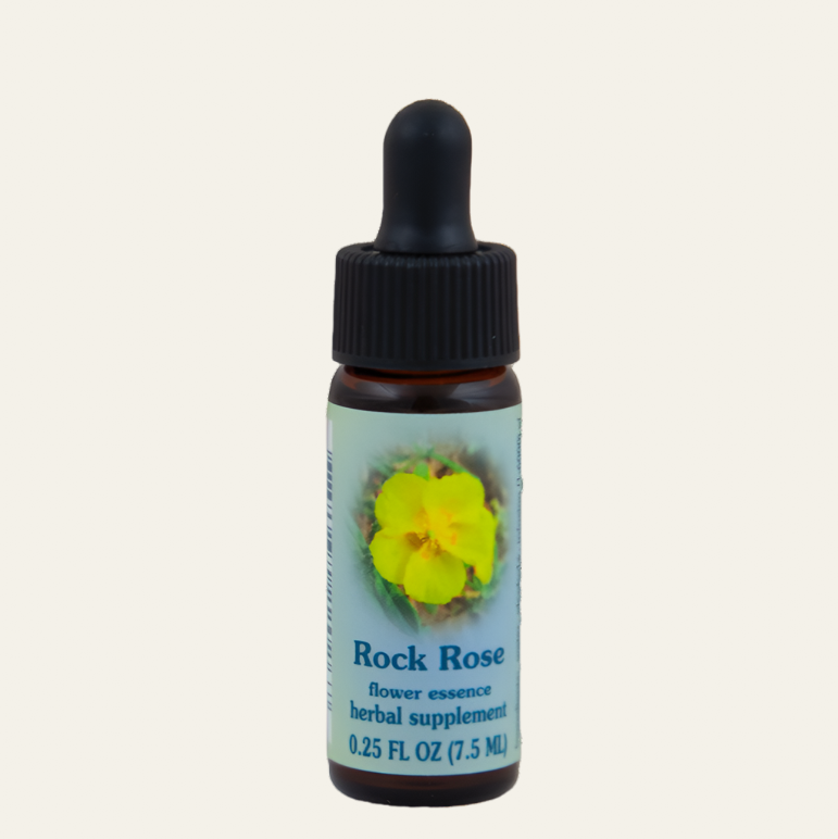 Rock Rose