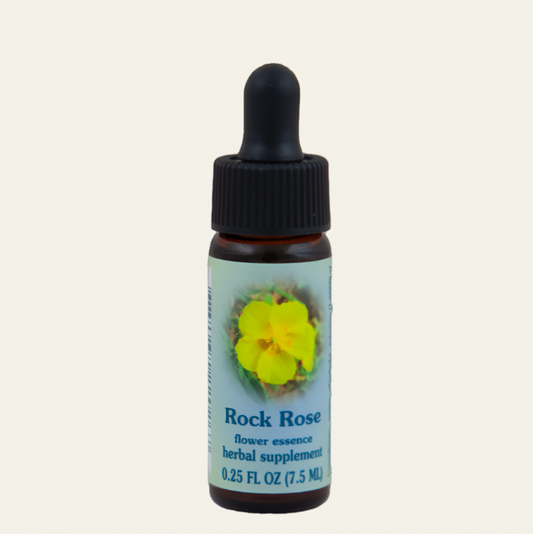 Rock Rose