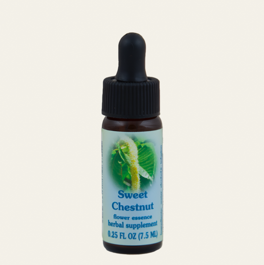 Sweet Chestnut