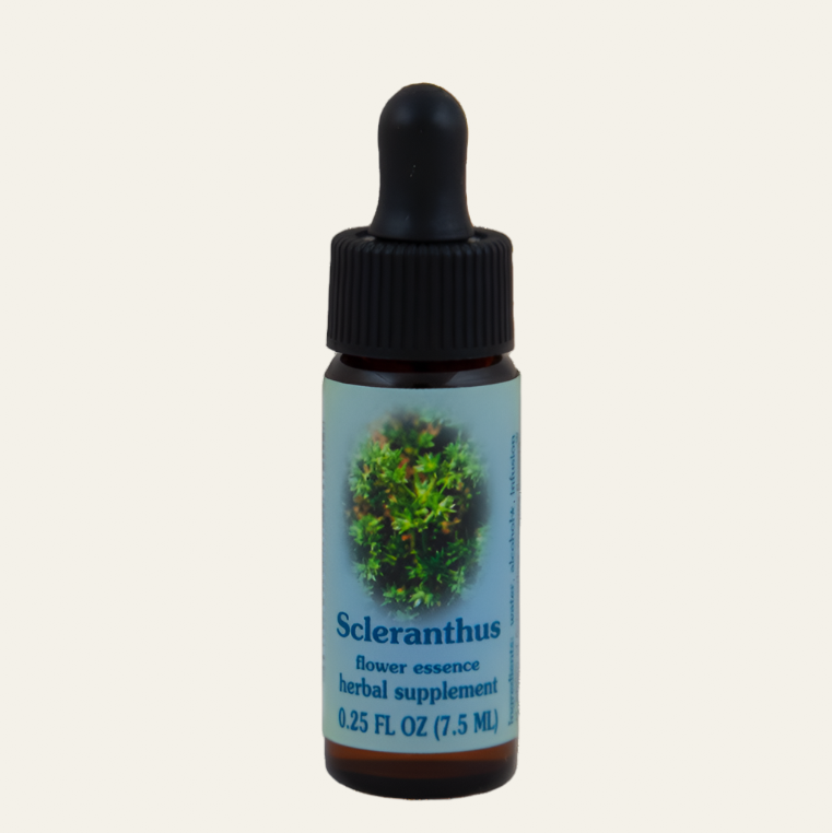 Scleranthus