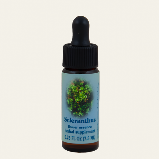 Scleranthus