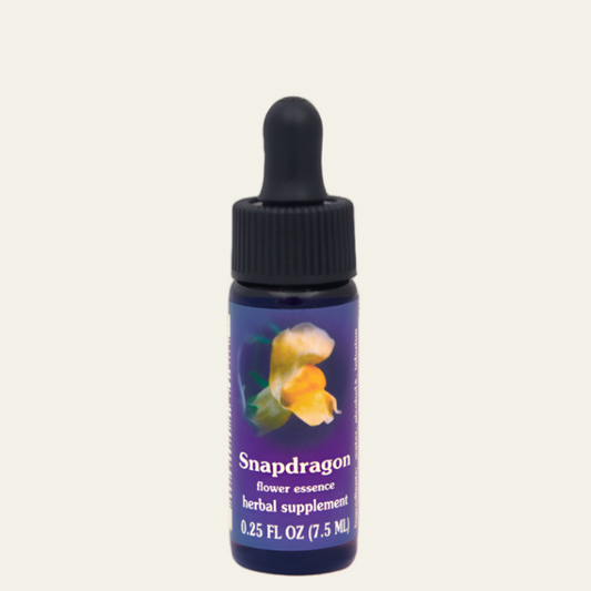 Snapdragon Flower Essence