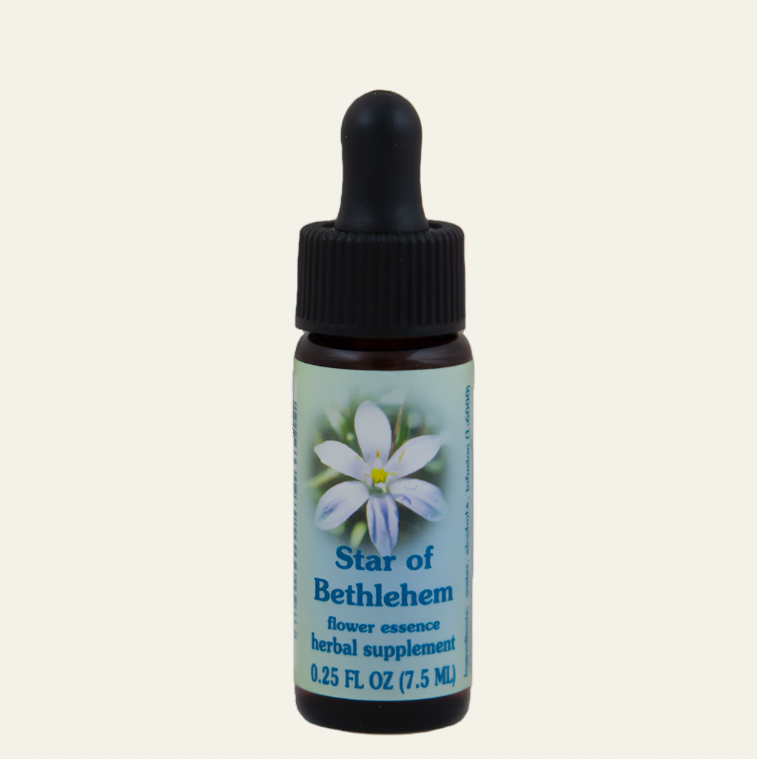 Star of Bethlehem