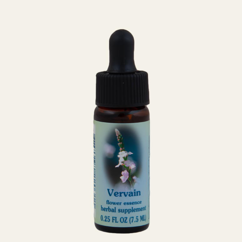 Vervain