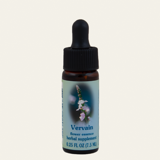 Vervain