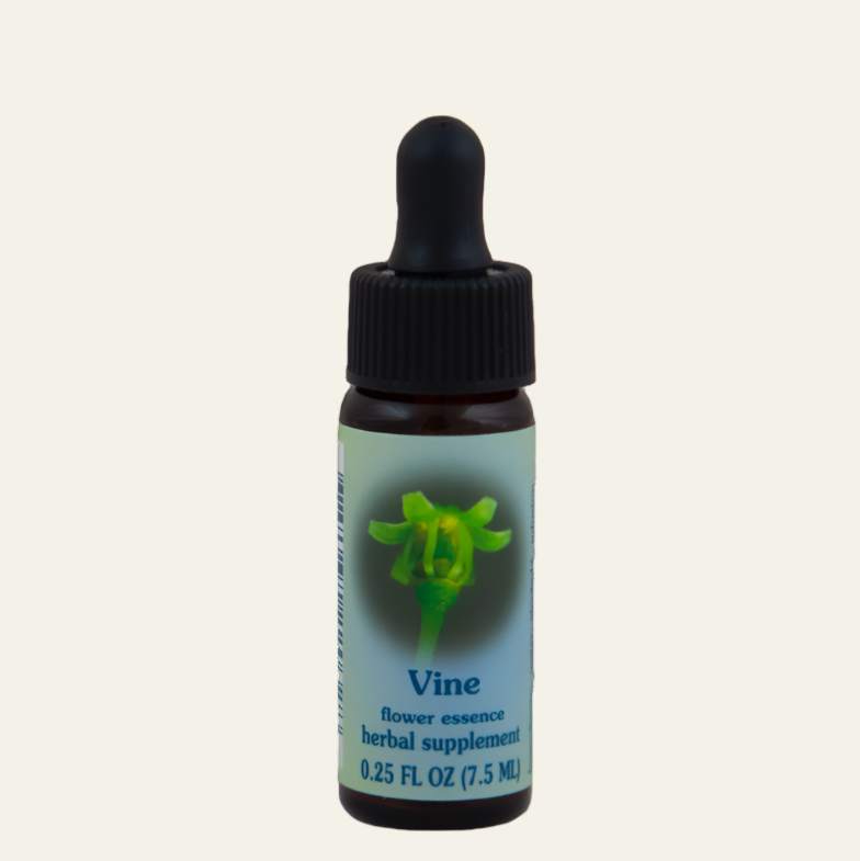 Vine