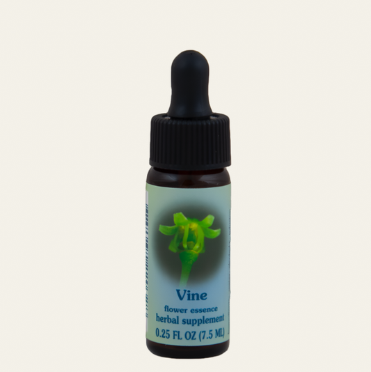 Vine