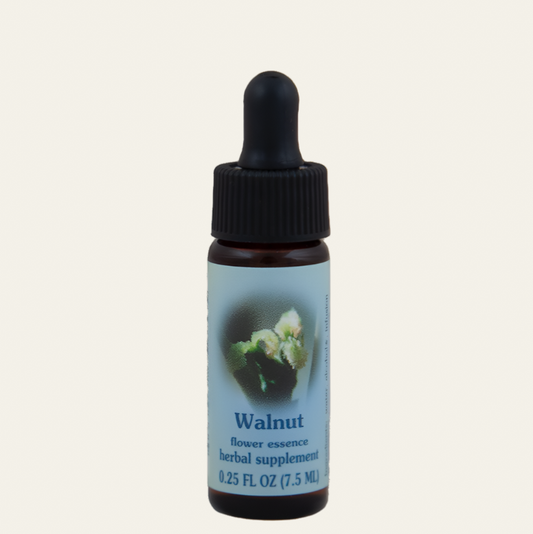 Walnut