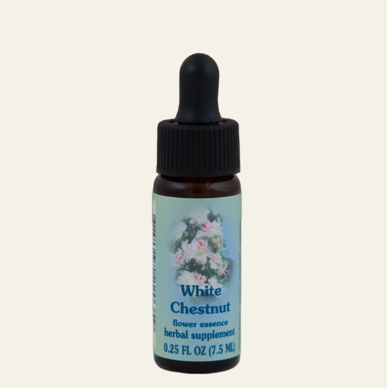 White Chestnut