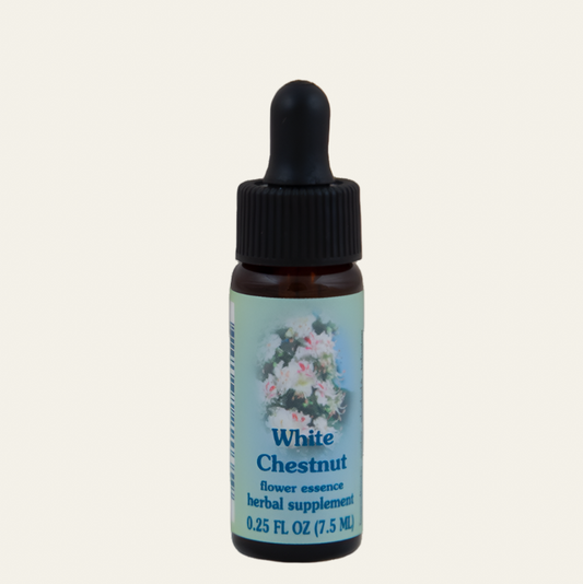 White Chestnut