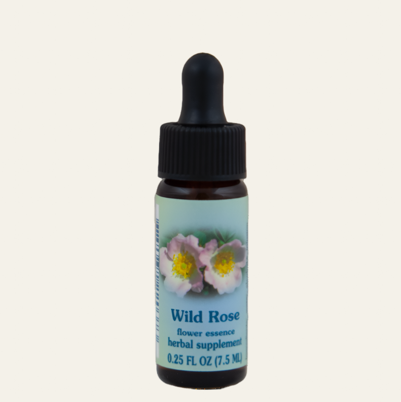 Wild Rose