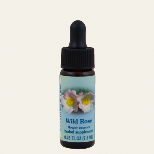 Wild Rose